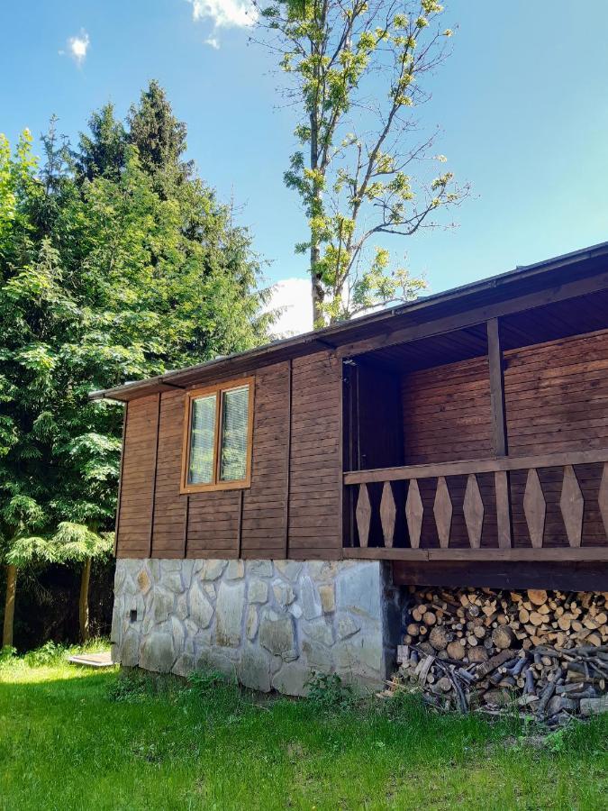 Apartament Vagon Lesna Jiřetín pod Jedlovou Zewnętrze zdjęcie